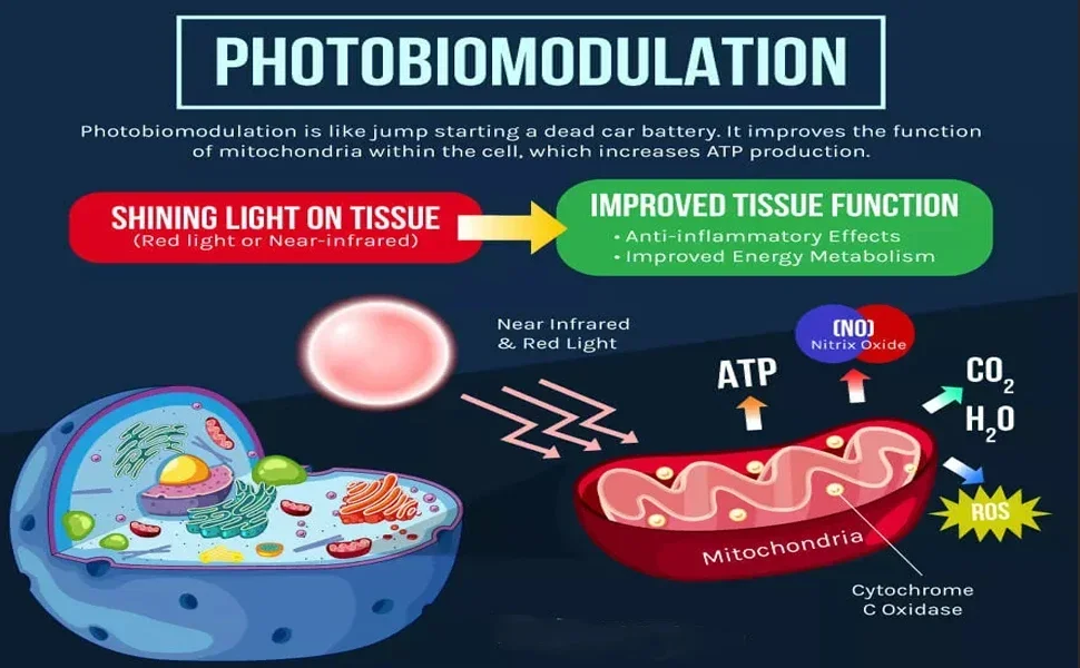 Photobiomodulation — how red light improves mitochondria function